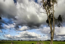 极速竞猜-关于克里夫兰骑士冲刺阶段官宣签约，志在欧联名次提升，引发热议，训练强度明显提升的信息