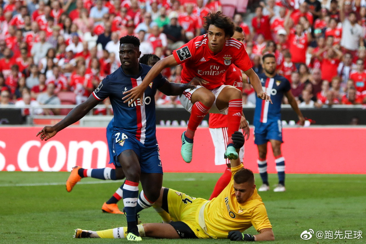  指令性的会议纪要 